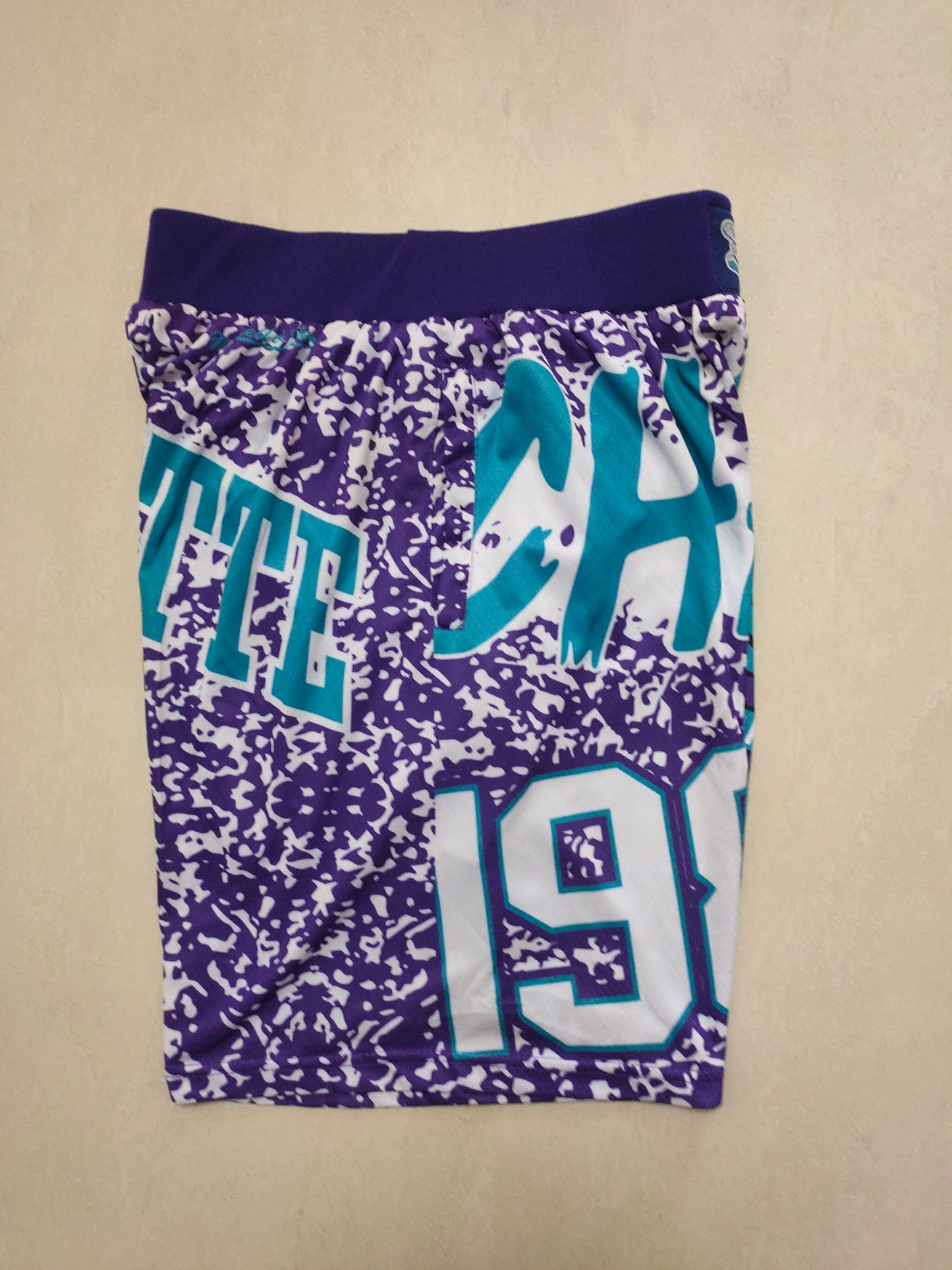 CHARLOTTE HORNETS PURPLE SHORTS